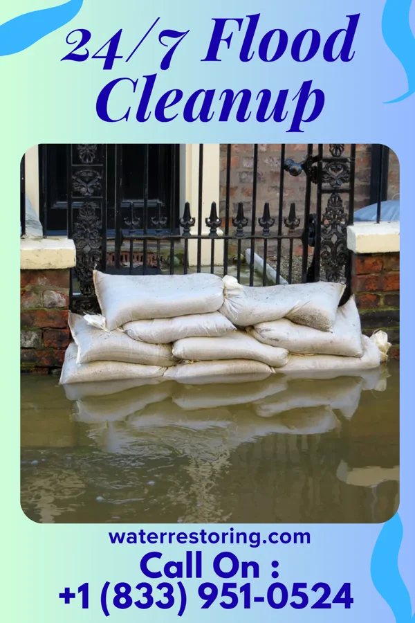 24/7 Flood Cleanup in Trezevant, TN