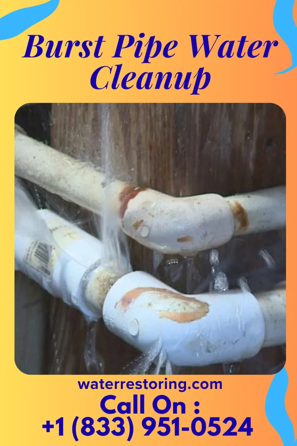 Burst Pipe Water Cleanup in Trezevant, TN