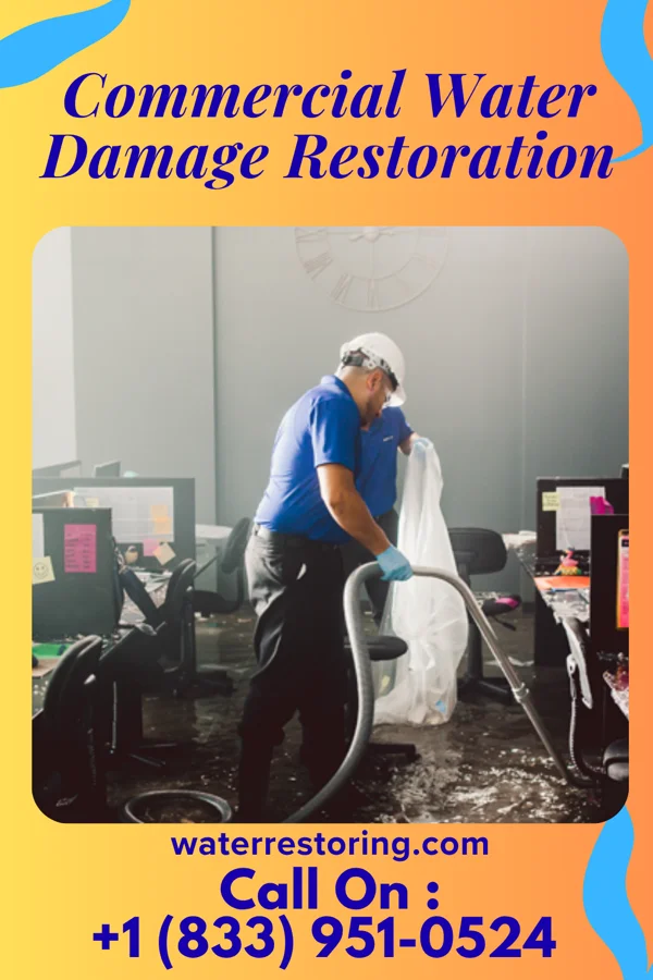 Commercial Water Damage Restoration in Trezevant, TN