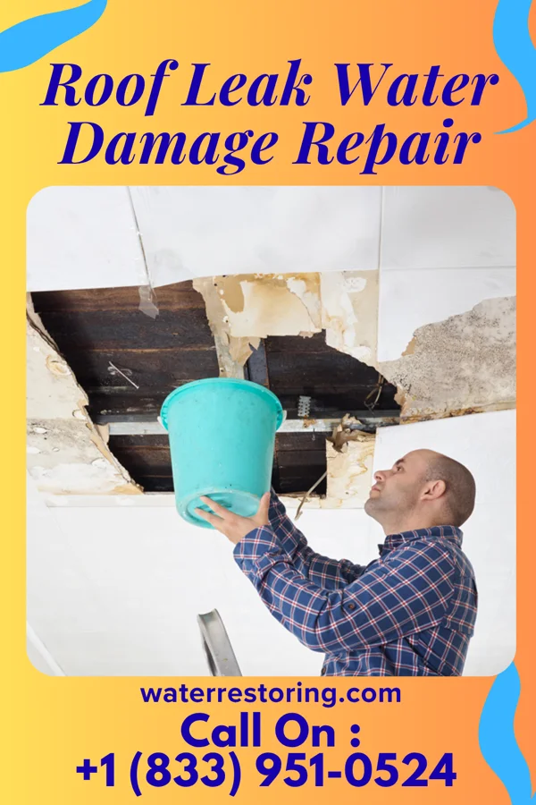 Roof Leak Water Damage Repair in Trezevant, TN