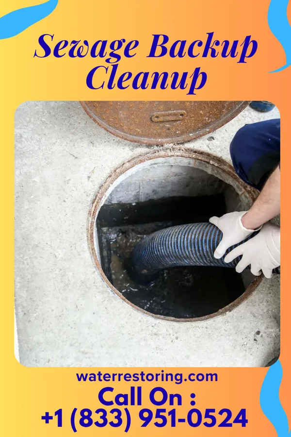 Sewage Backup Cleanup in Trezevant, TN